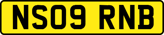 NS09RNB