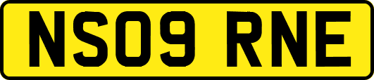 NS09RNE