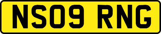 NS09RNG