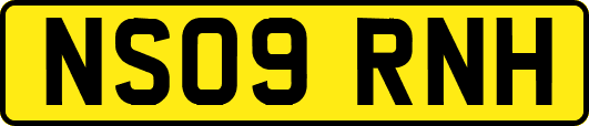 NS09RNH