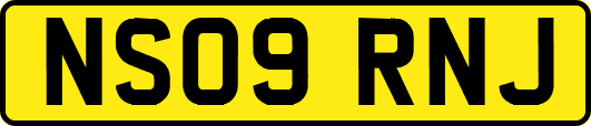NS09RNJ
