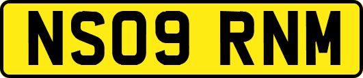 NS09RNM