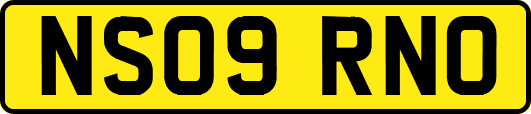 NS09RNO