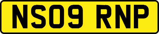 NS09RNP