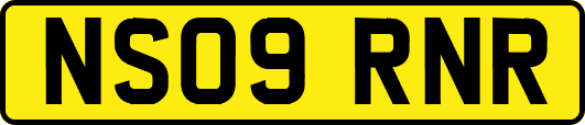 NS09RNR