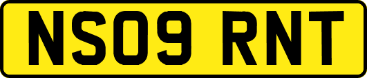 NS09RNT