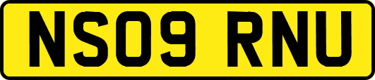 NS09RNU