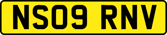 NS09RNV