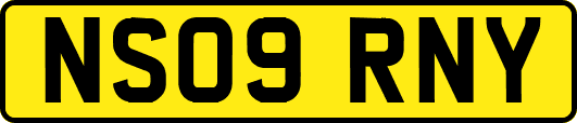NS09RNY