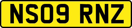 NS09RNZ