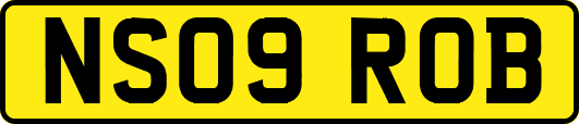 NS09ROB