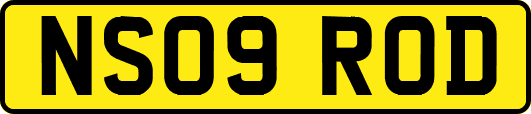 NS09ROD