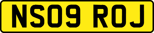 NS09ROJ