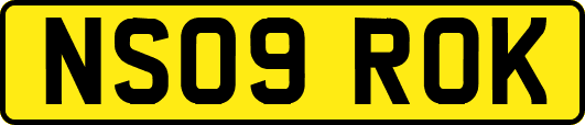 NS09ROK