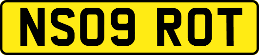 NS09ROT