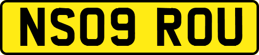 NS09ROU