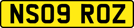 NS09ROZ