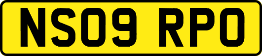 NS09RPO