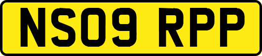 NS09RPP
