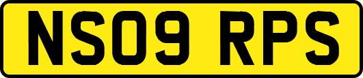 NS09RPS