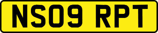 NS09RPT