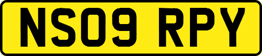 NS09RPY