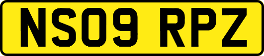 NS09RPZ