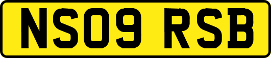 NS09RSB