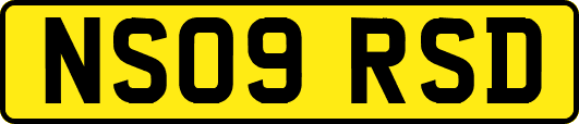 NS09RSD