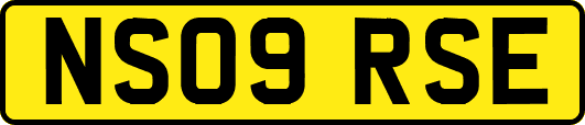 NS09RSE