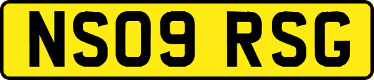NS09RSG