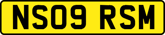 NS09RSM
