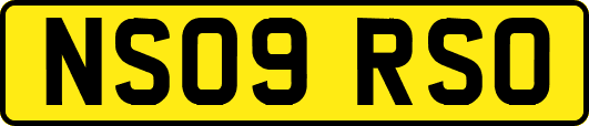 NS09RSO
