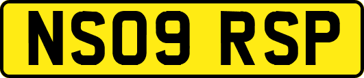 NS09RSP