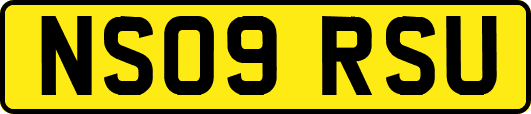 NS09RSU