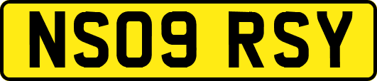 NS09RSY