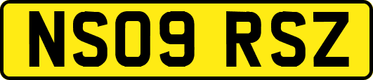 NS09RSZ