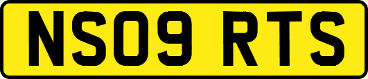 NS09RTS