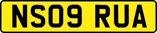 NS09RUA