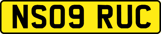 NS09RUC