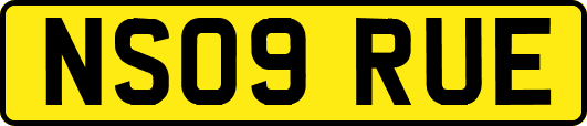 NS09RUE
