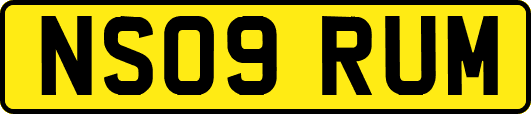 NS09RUM