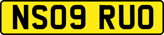 NS09RUO