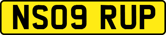 NS09RUP