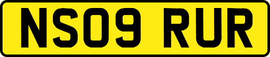 NS09RUR