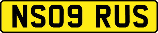 NS09RUS