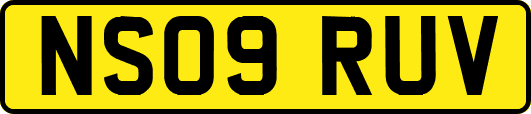 NS09RUV