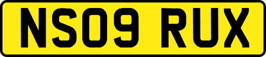 NS09RUX