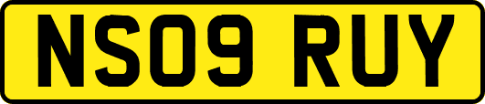 NS09RUY