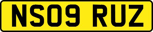 NS09RUZ
